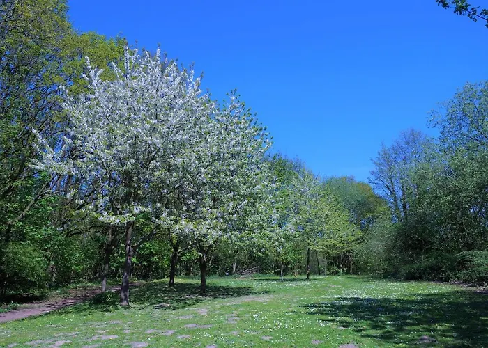 Panoramic App B08-6 Sierksdorf